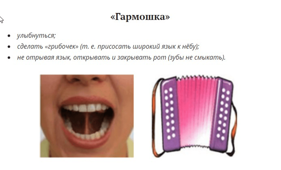 Изображение по разделу: Артикуляция сонорных звуков