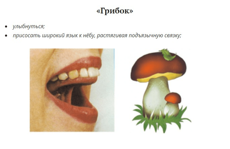Изображение по разделу: Артикуляция сонорных звуков