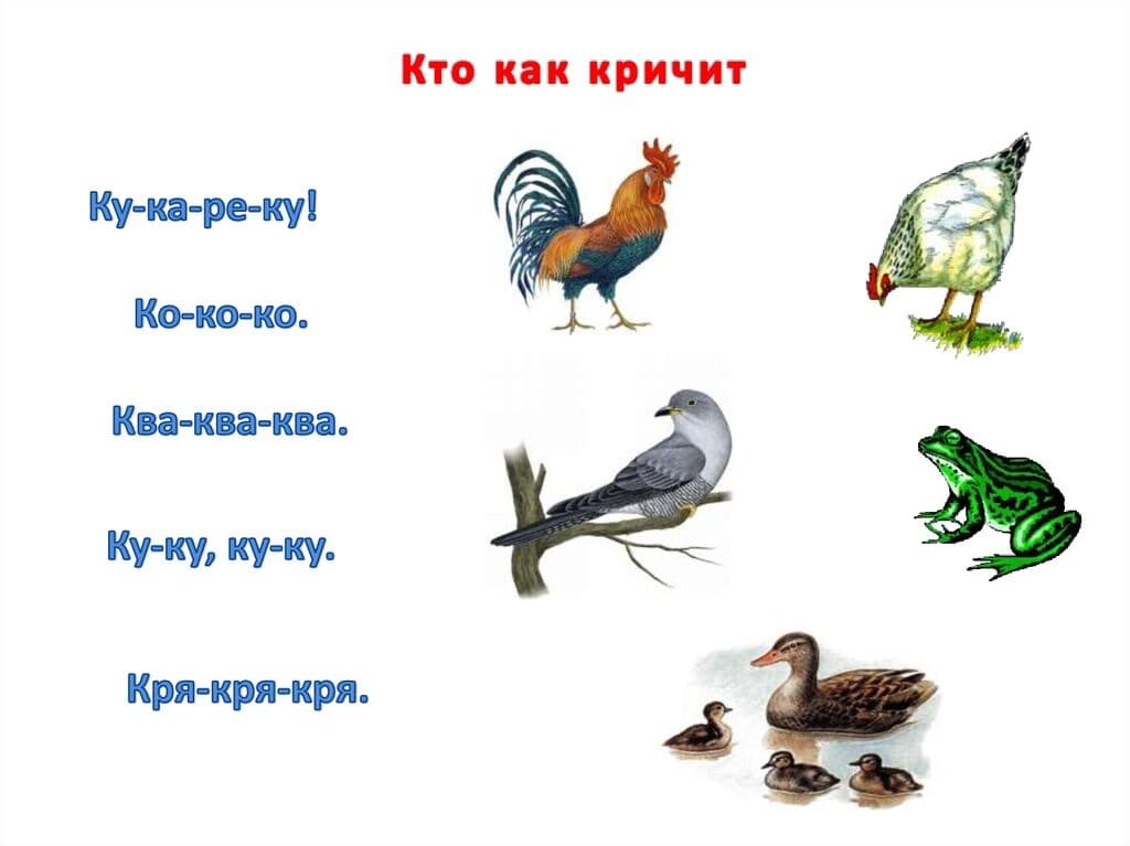 Изображение по разделу: Автоматизация звука К в словах