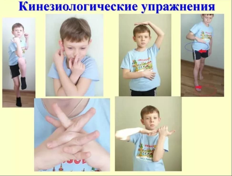 Изображение по разделу: Чем полезны упражнения для мозга