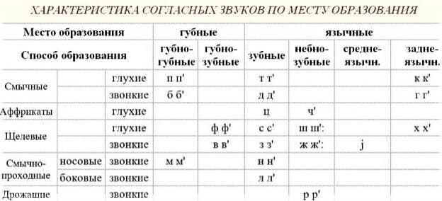 Изображение по разделу: Что такое артикуляционный аппарат