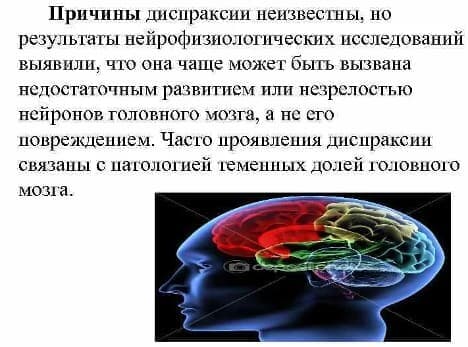 Изображение по разделу: Что такое диспраксия