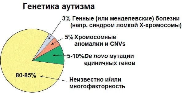 Изображение по разделу: Что такое расстройство аутистического спектра
