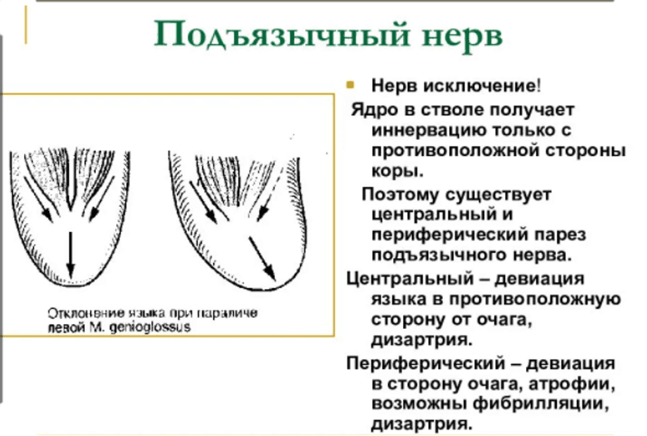 Изображение по разделу: Девиация языка у детей