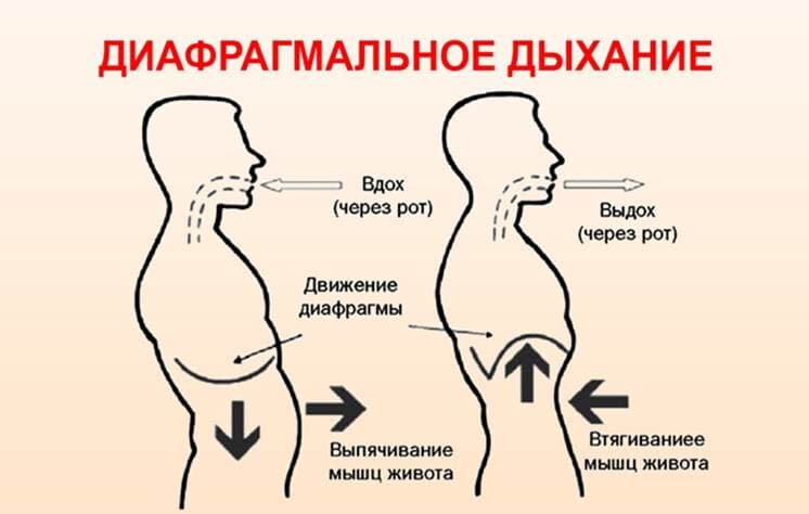 Изображение к статье: Диафрагмальное дыхание