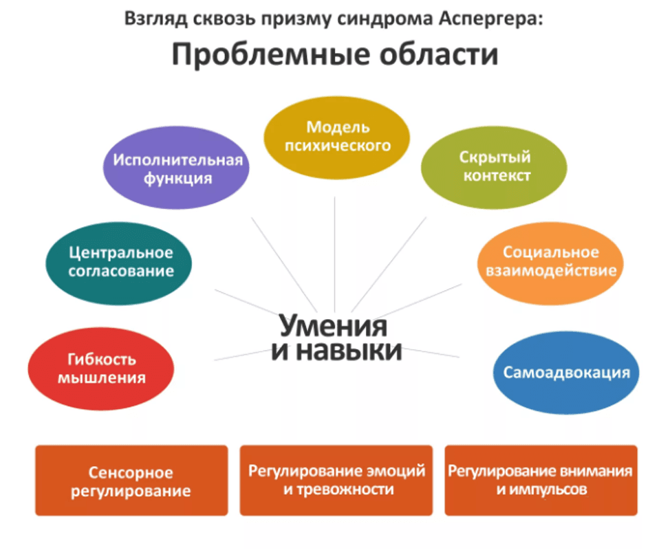 Изображение по разделу: Диагностика синдрома Аспергера у детей