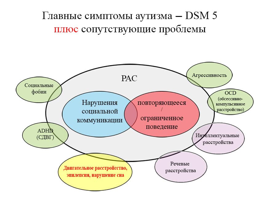Изображение к статье: Еще раз про аутизм