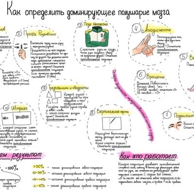 Изображение к статье: Как определить доминирующее полушарие мозга?