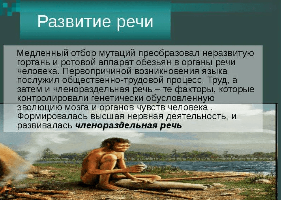 Изображение по разделу: Как появилась человеческая речь