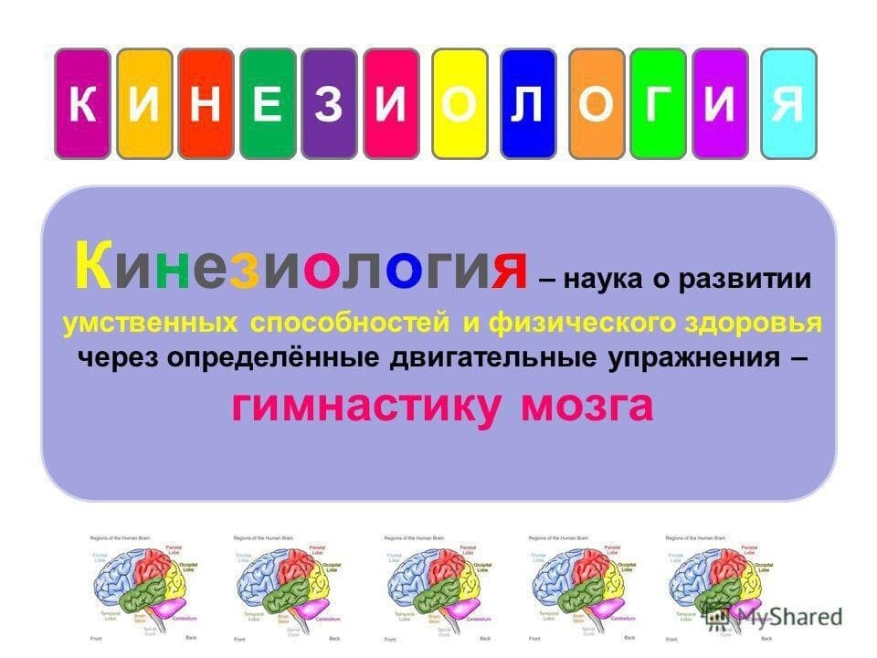 Изображение к статье: Кинезиологические упражнения, которые улучшают работу мозга: внимание, память, интеллект и другие высшие психические функции