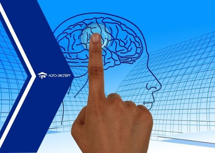 Изображение к статье: Кинезиология в логопедии. Советы нейропсихологов
