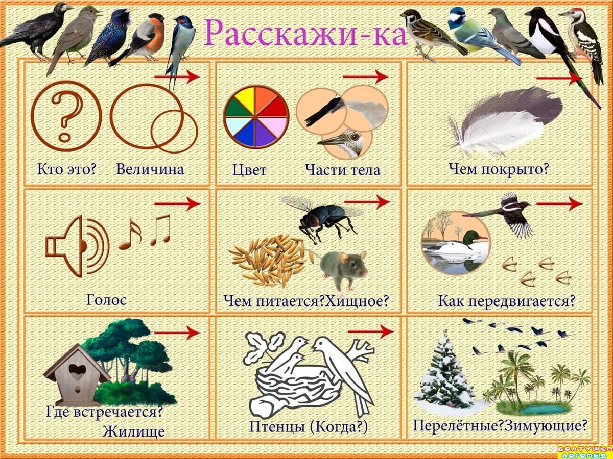 Изображение к статье: Мнемотаблицы «Расскажи-ка»