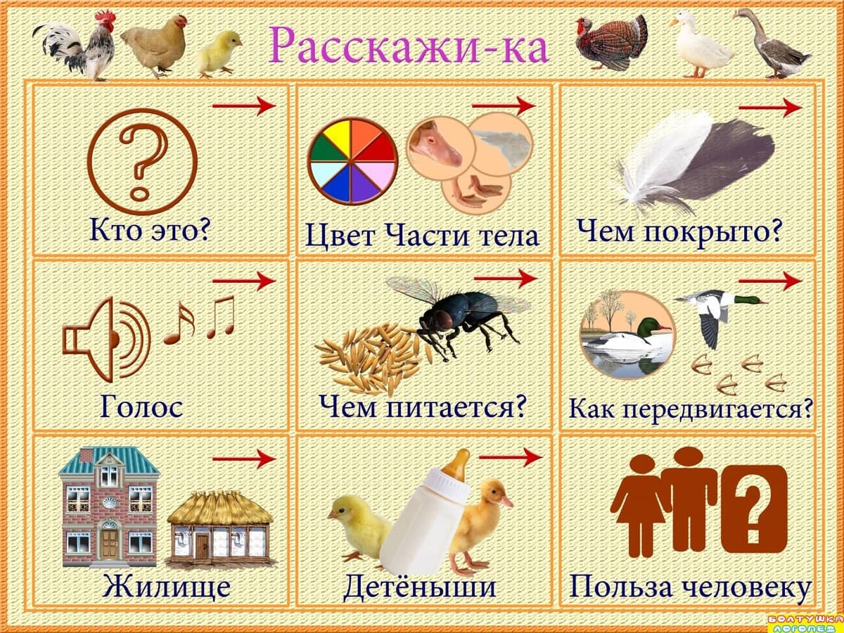 Изображение к статье: Мнемотаблицы «Расскажи-ка»