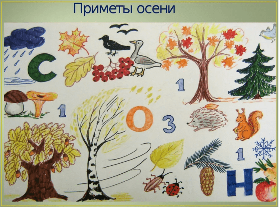 Изображение по разделу: Особенности упражнений и заданий по лексическим темам