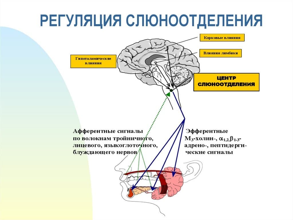 Изображение к статье: Почему у ребенка текут слюни?