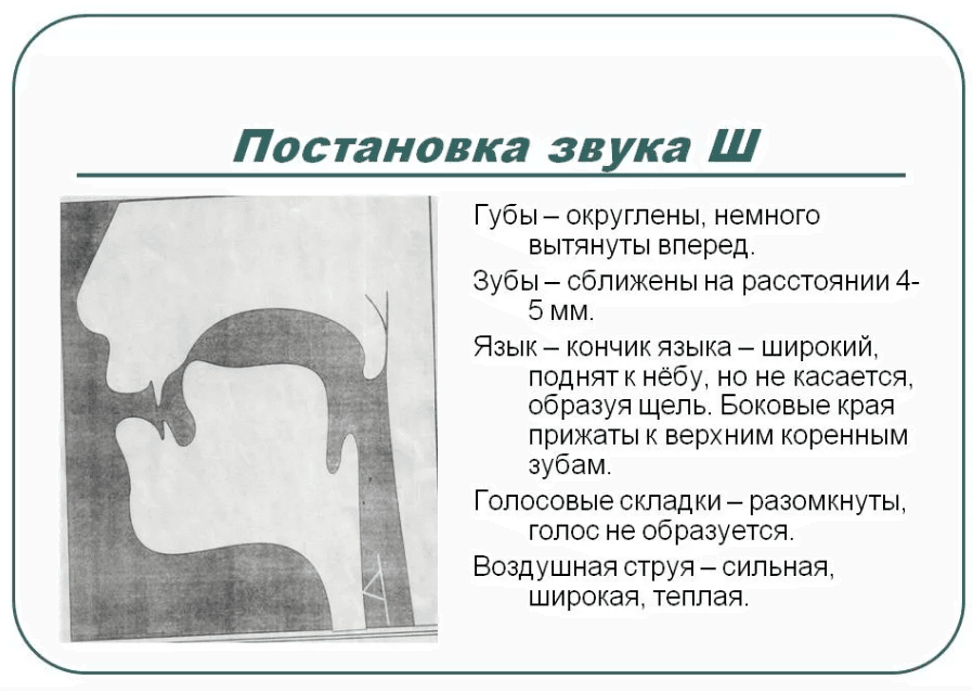 Изображение по разделу: Правильная артикуляция звука Ш