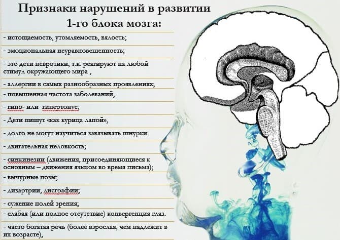 Изображение к статье: Просто о сложном: нейропсихология