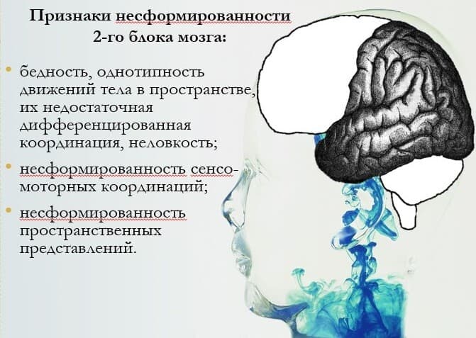 Изображение к статье: Просто о сложном: нейропсихология
