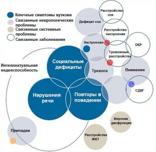 Изображение по разделу: Проявления расстройств аутистического спектра