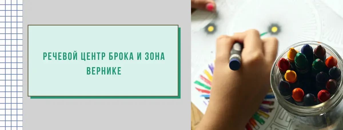 Изображение к статье: Речевой центр Брока и зона Вернике