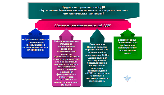 Изображение к статье: Сдвг, гиперактивный ребенок - диагностика и коррекция