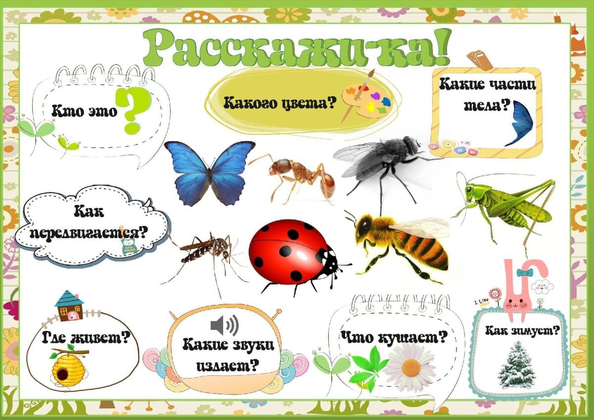 Изображение к статье: Схемы для составления описательных рассказов