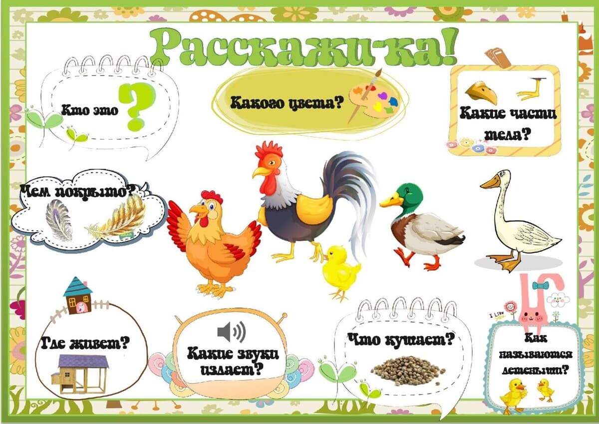 Изображение к статье: Схемы для составления описательных рассказов