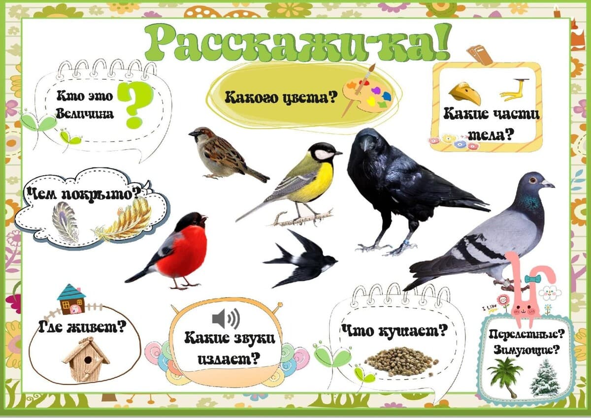 Изображение к статье: Схемы для составления описательных рассказов