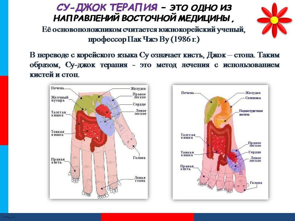 Изображение к статье: Су-джок терапия для детей