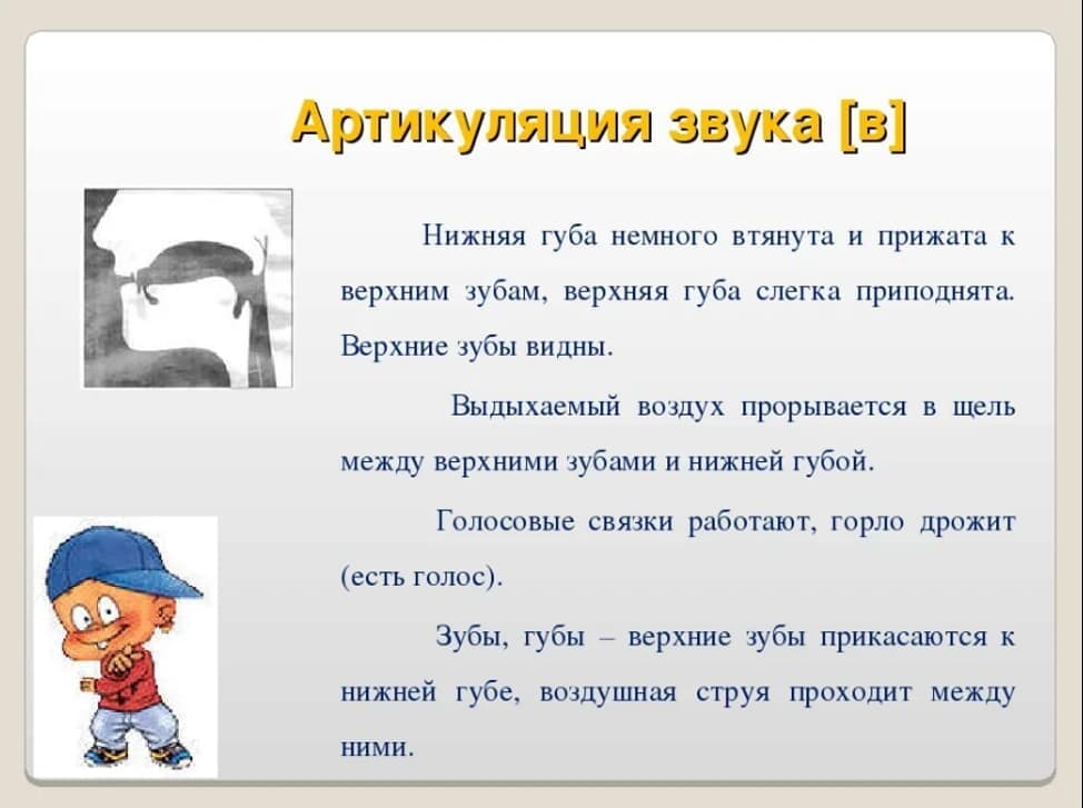 Изображение по разделу: В чем причины неправильного произношения звука В
