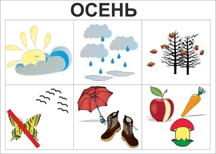 Изображение к статье: Времена года